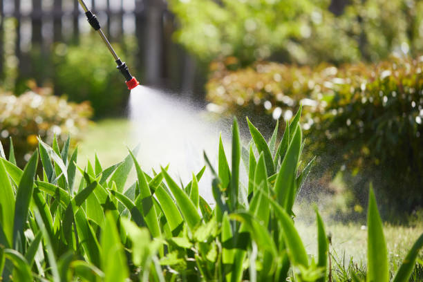 24/7 Emergency Mosquito Control experts in Inver Grove Heights, MN