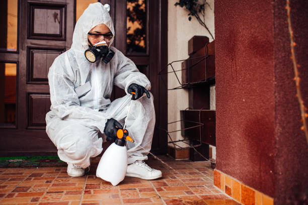 Reliable Mosquito Control contractor in Inver Grove Heights, MN by Show Me Pest Control